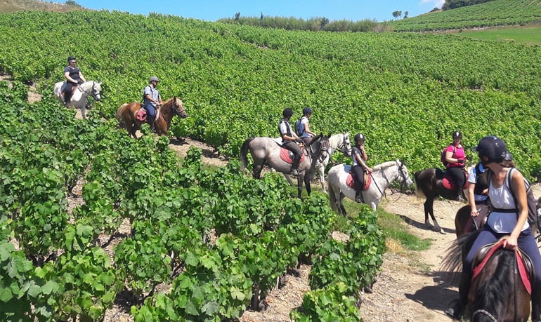 gîte beaujolais