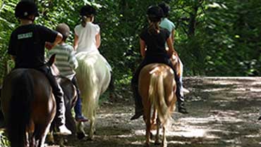 gite equestre Villefranche-sur-Saône